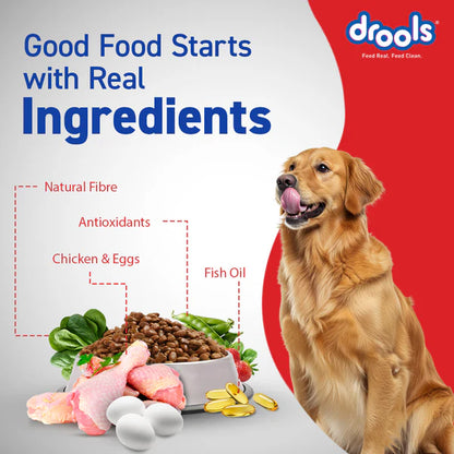 Drools Chicken and Egg Adult Dog Dry Food