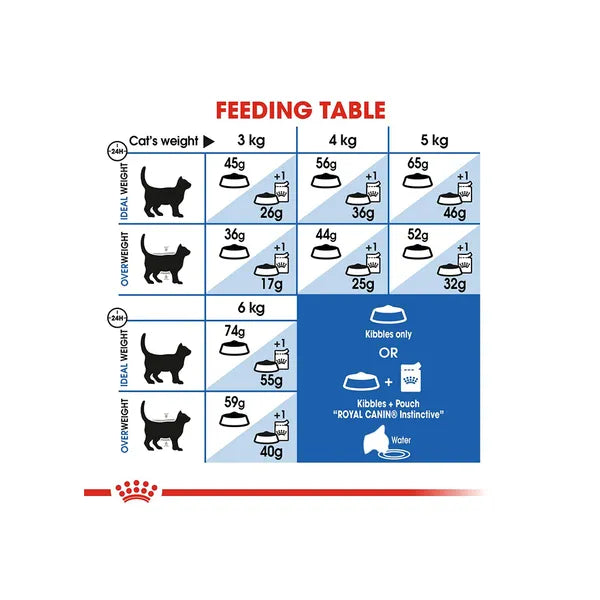 Royal Canin Indoor Dry Cat Food 2KG