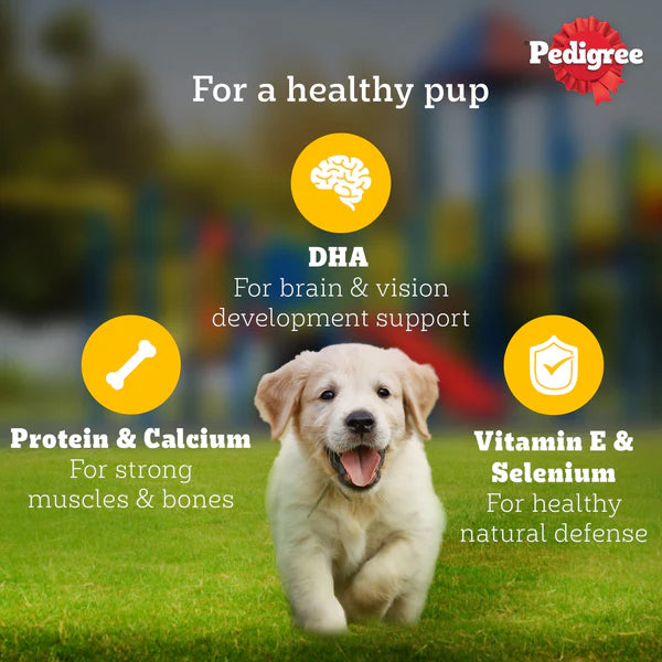 Pedigree Puppy Lamb Flavour Chunks in Gravy