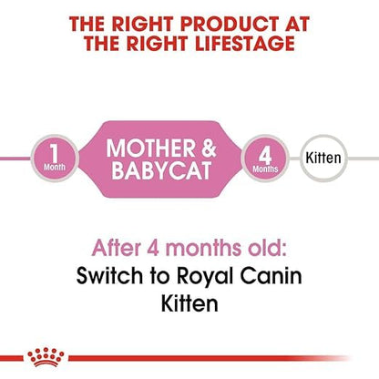 Royal Canin Kitten Mother and Baby Cat Dry Cat Food