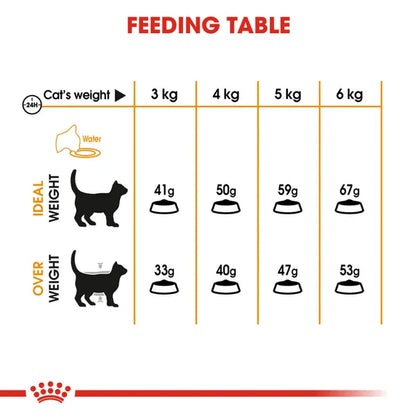 Royal Canin Skin & Hair Care for Adult Dry Cat Food