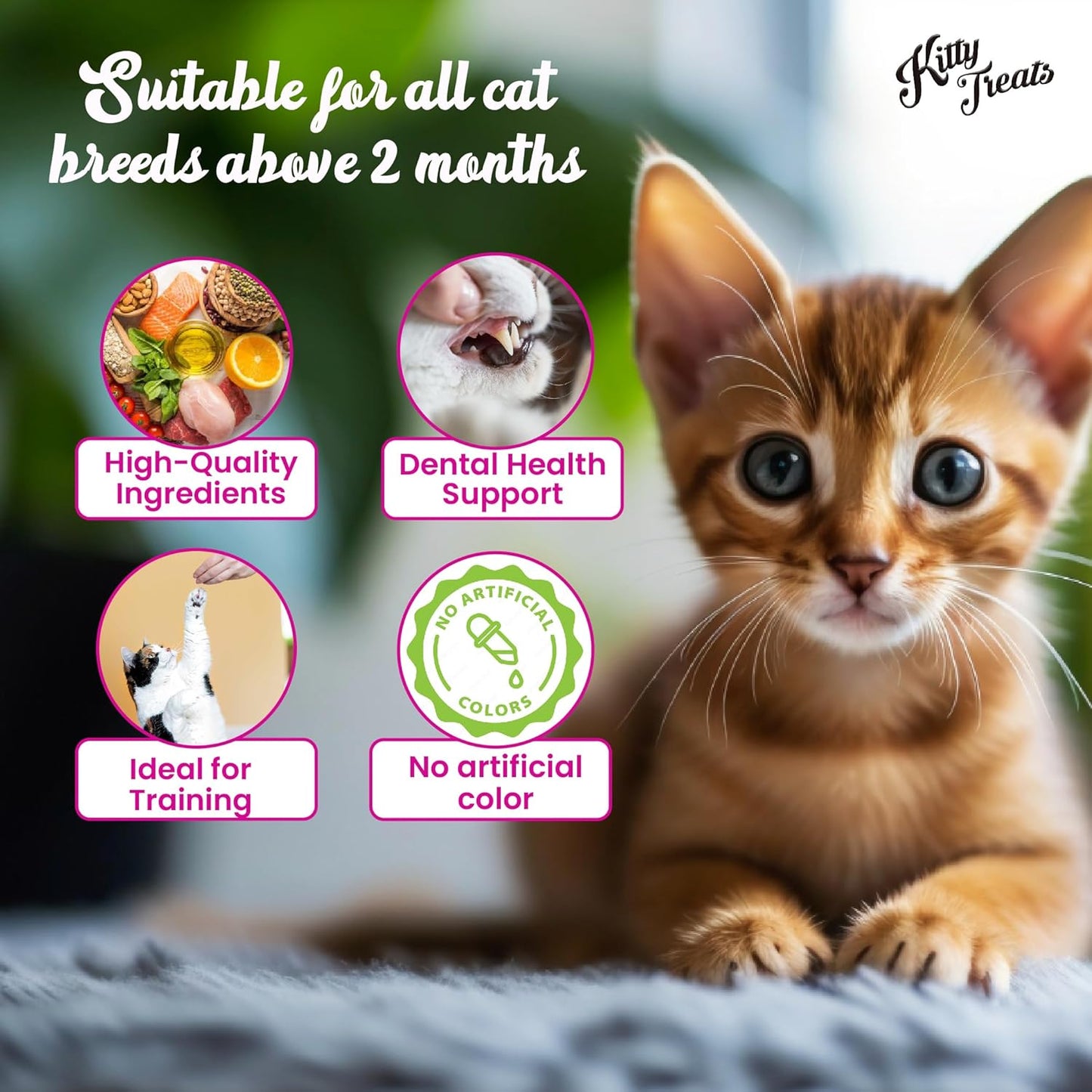 Kitty Treats Soft Chicken and Tuna Cat Treats - 30g