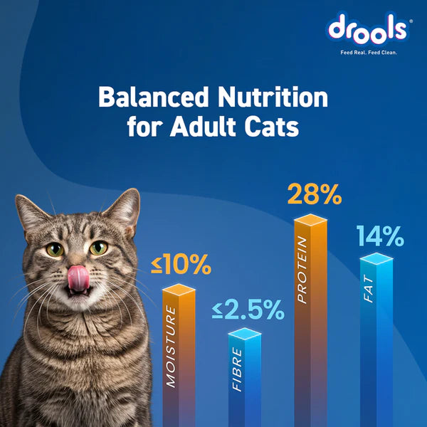 Drools Ocean Fish Adult Cat Dry Food