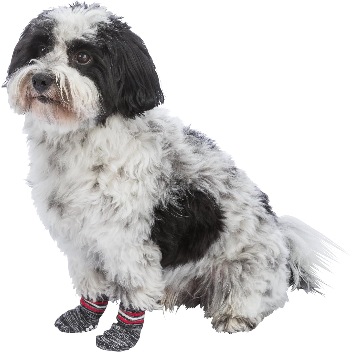Trixie Non-Slip Grey Dog Socks, S-M