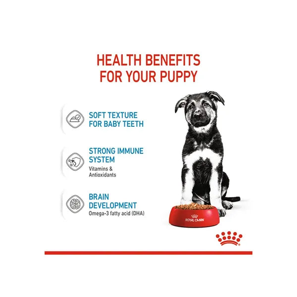 Royal Canin Maxi Puppy Wet Dog Food