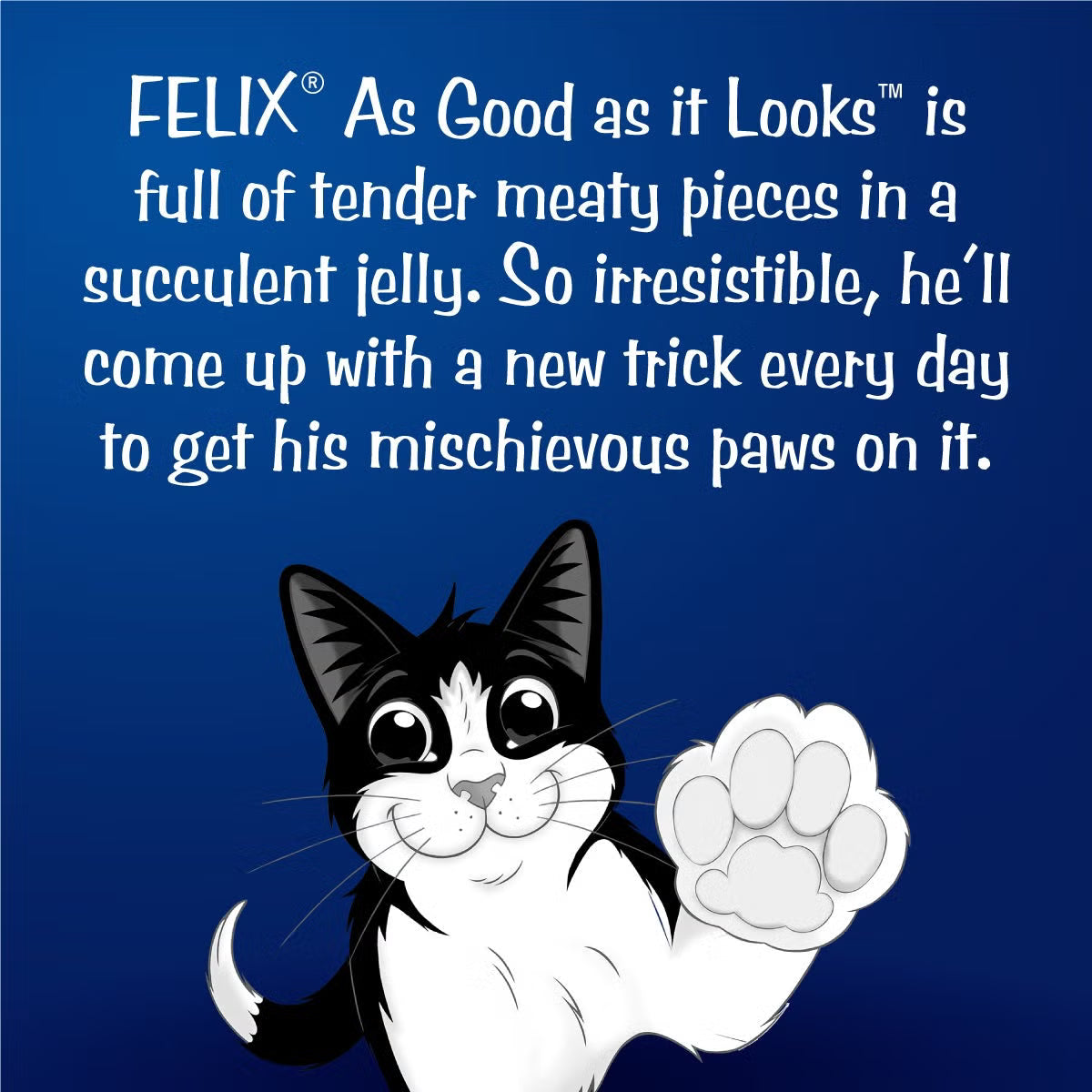 Purina Felix Chicken with Jelly Kitten Cat Wet Food