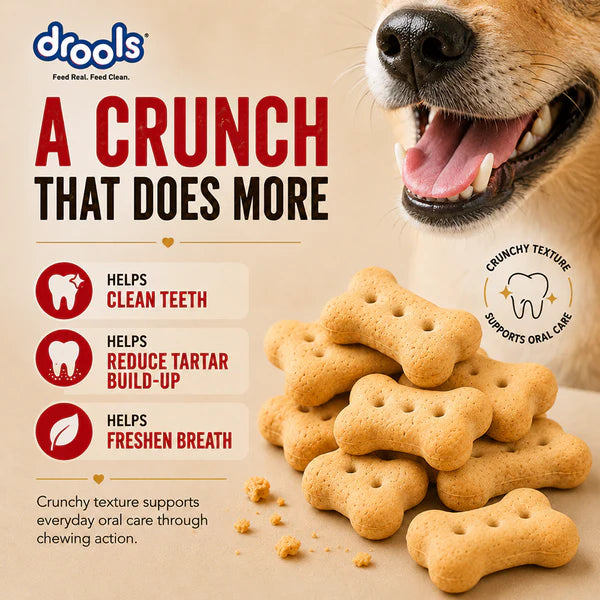 Drools Chicken and Egg Biscuit Dog Treats