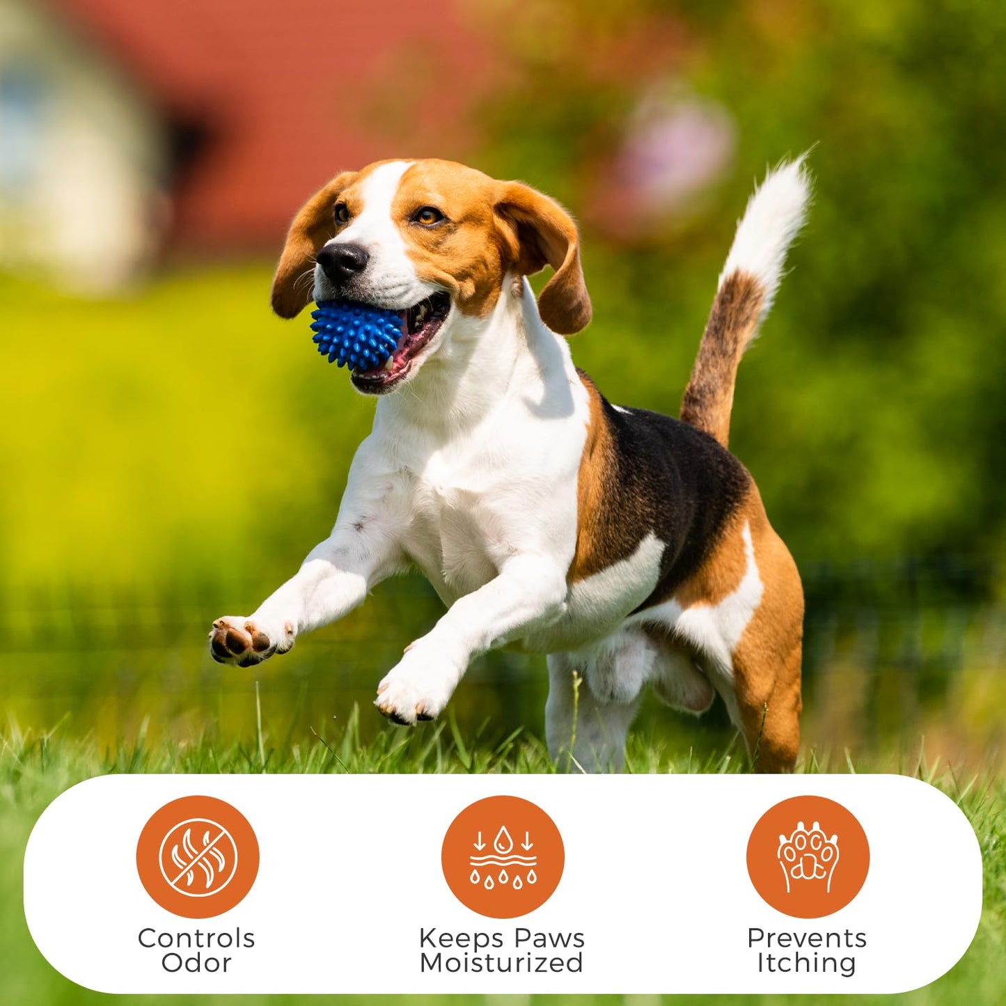 Dogz & Dudez Papaya & Aloe Paw Cleaner for Dogs & Cats