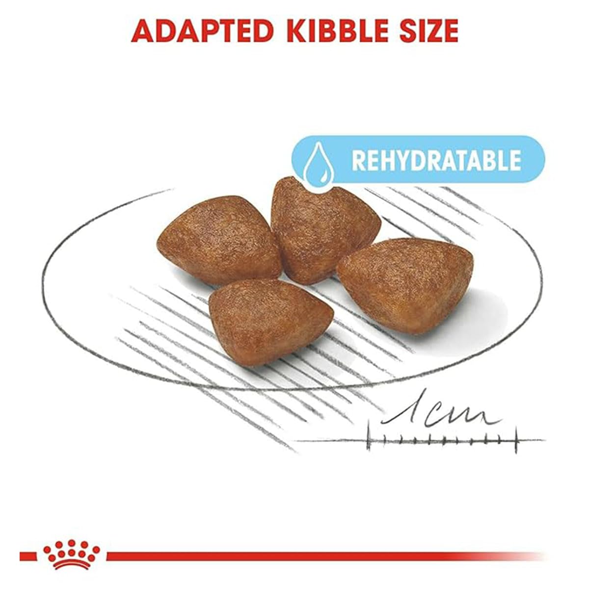 Royal Canin Starter Mini Dry Dog Food