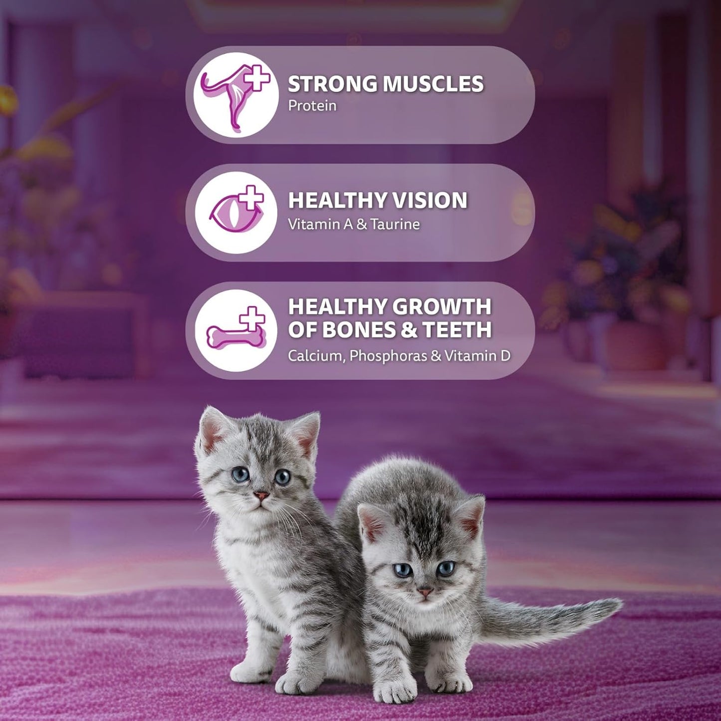 Whiskas Ocean Fish Flavour Junior Mother Cat & Kitten (2-12 Months) Dry Cat Food