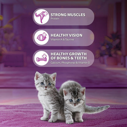 Whiskas Ocean Fish Flavour Junior Mother Cat & Kitten (2-12 Months) Dry Cat Food