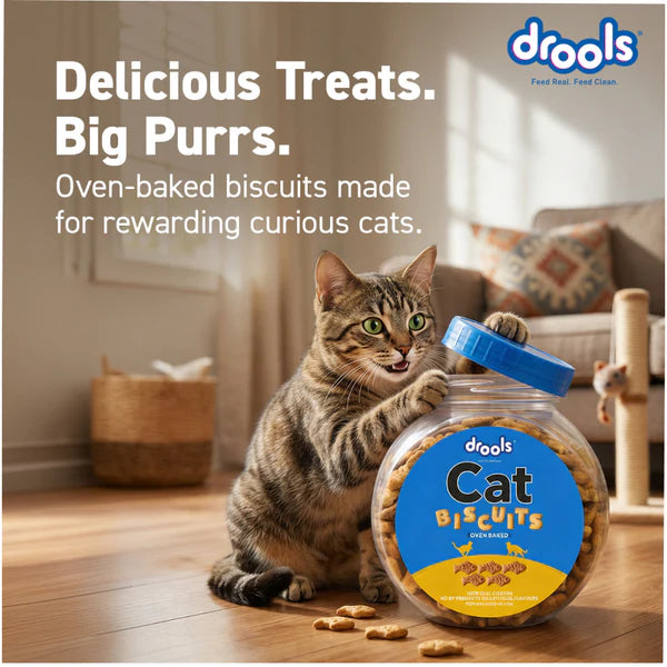 Drools Biscuit Cat Treat
