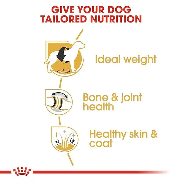Royal Canin Labrador Retriever Maxi Adult Dry Dog Food