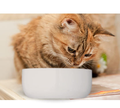 Trixie: - Cat Ceramic Small Bowl - 300ml