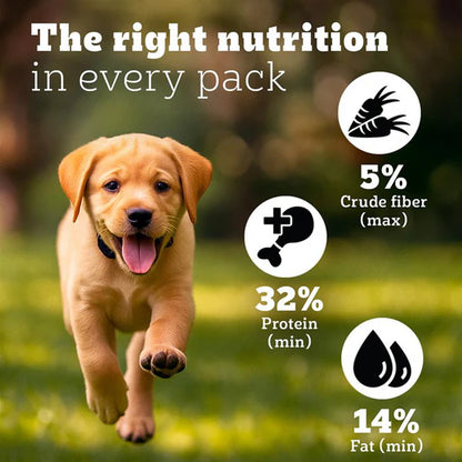 Pedigree PRO Expert Nutrition for Large Breed Puppy