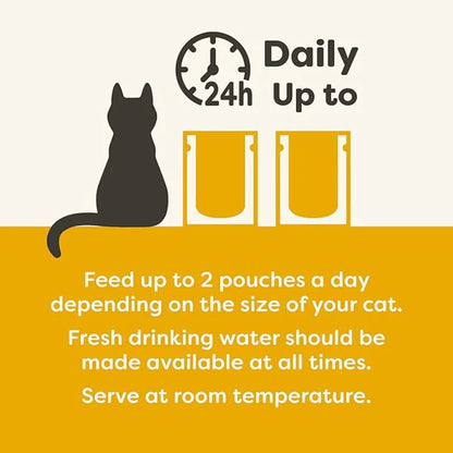 Applaws Cat Wet Food Chicken Breast with Pumpkin in Broth 70gm