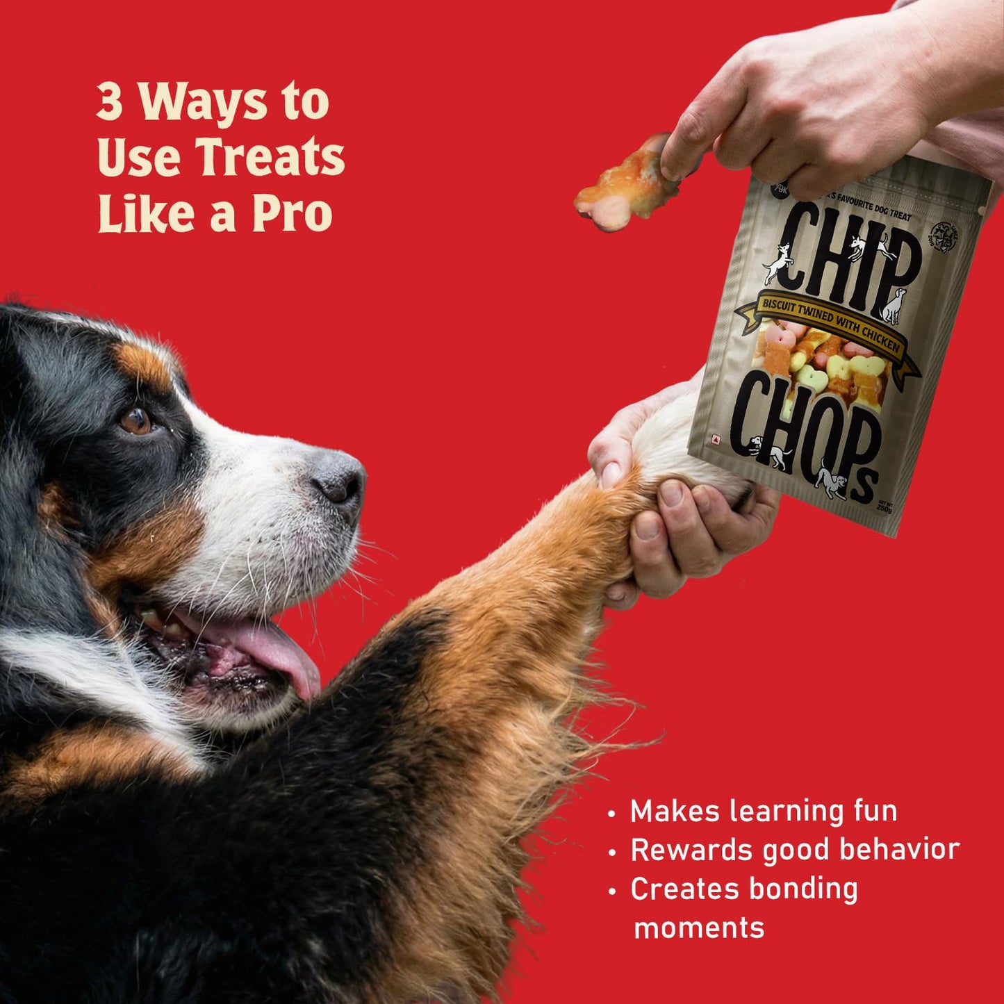 Chip Chops Biscuit Twined with Chicken 250g