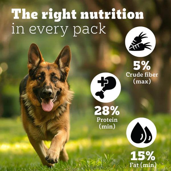 Pedigree PRO Expert Nutrition Active Adult Large Breed Dog Dry Food