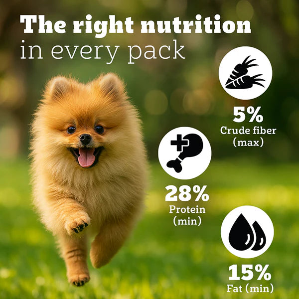Pedigree PRO Expert Nutrition Small Breed Puppy Dry Food
