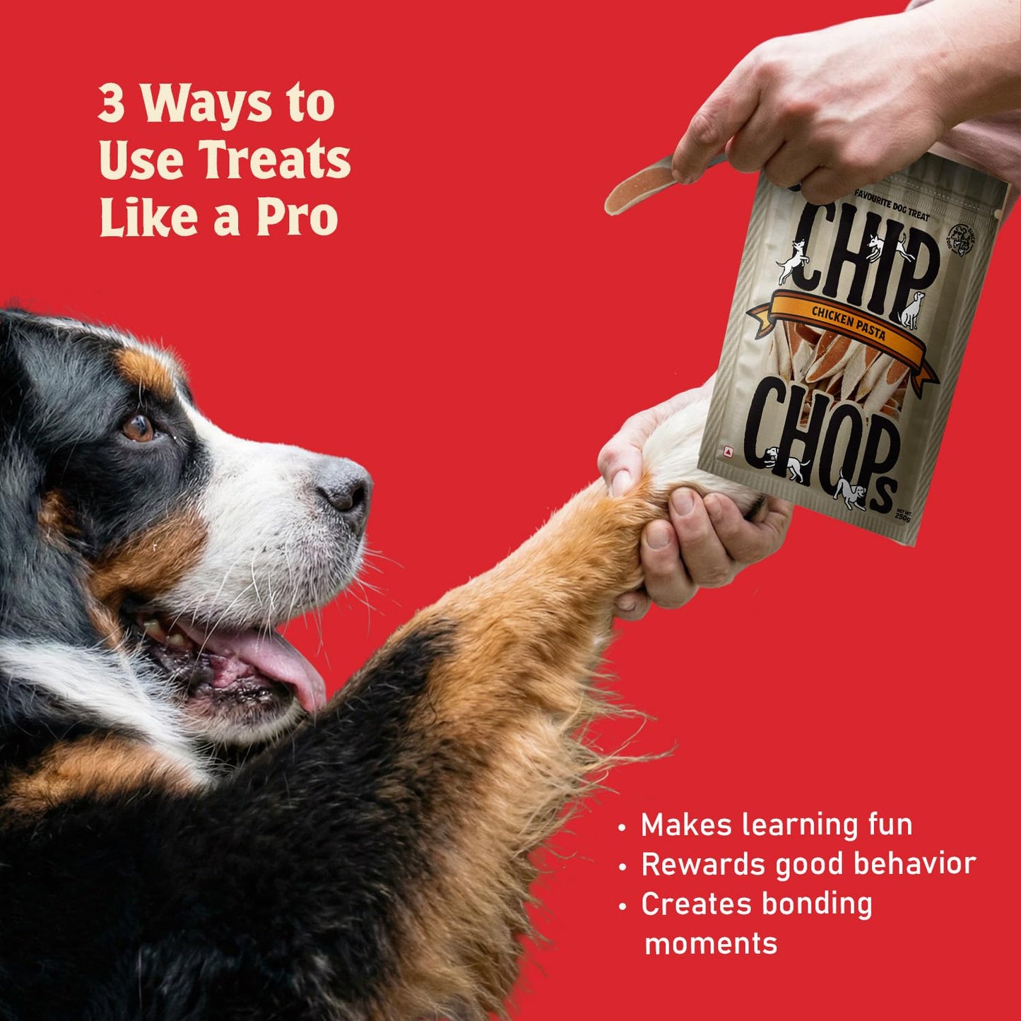 Chip Chops Chicken Pasta Dog Treats 250g