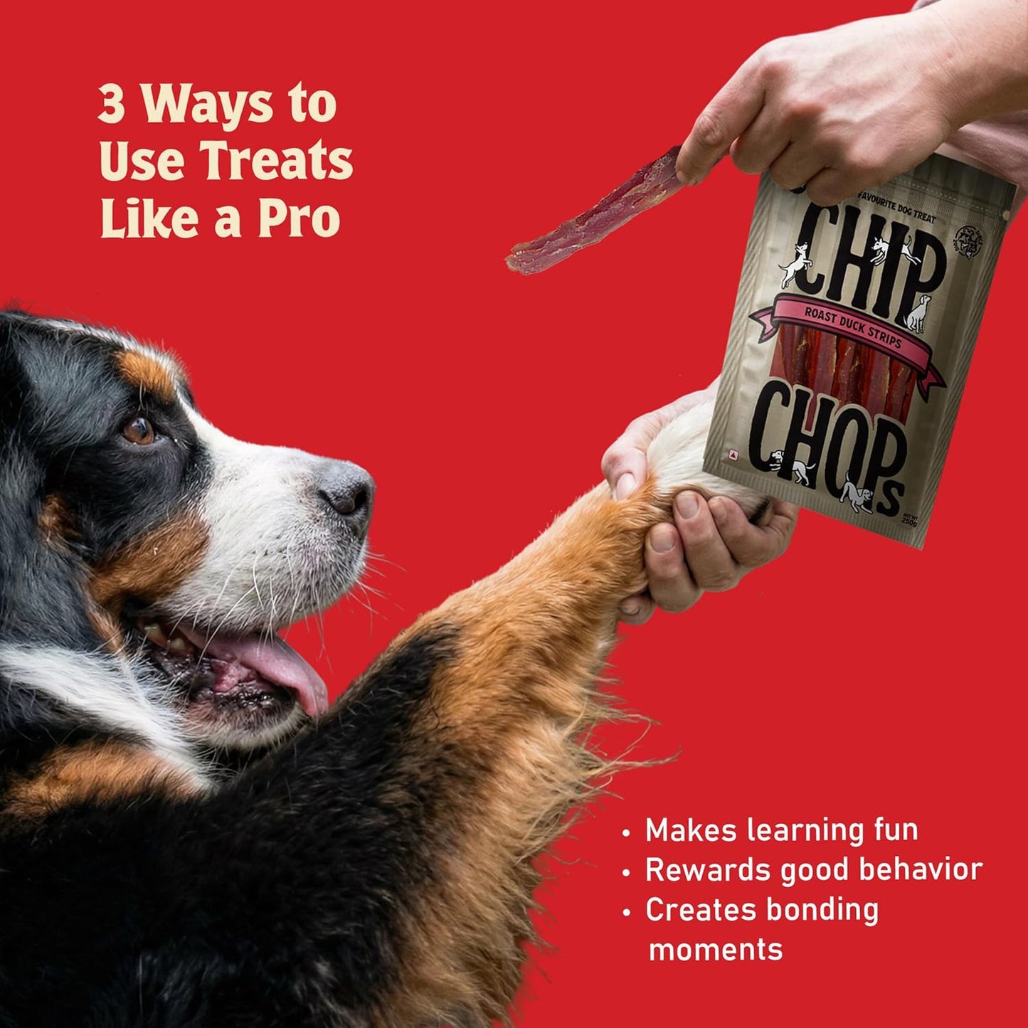 Chip Chops Roast Duck Slice Dog Treat 250g