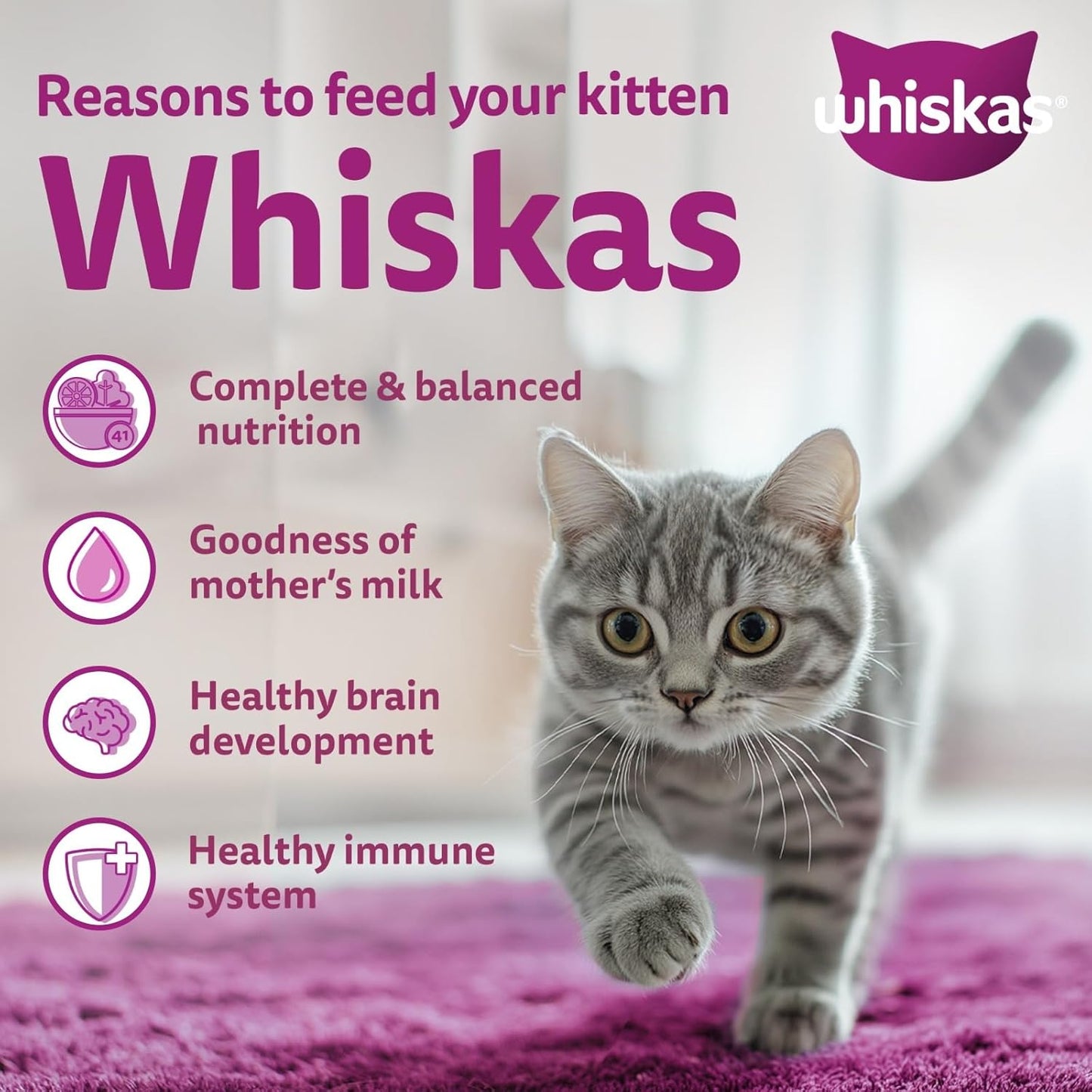 Whiskas Ocean Fish Flavour Junior Mother Cat & Kitten (2-12 Months) Dry Cat Food