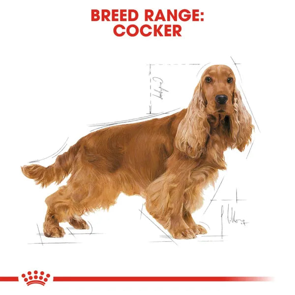 Royal Canin Cocker Medium Adult Dry Dog Food 3kg