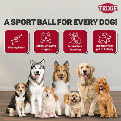 TRIXIE Sport Ball Natural Rubber Toy for Dog & Cat