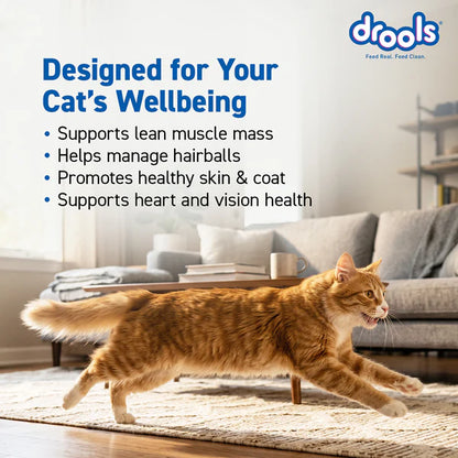 Drools Ocean Fish Adult Cat Dry Food