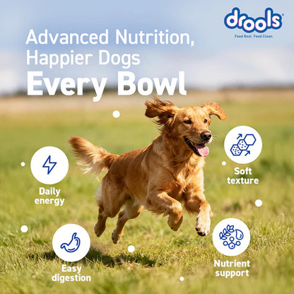 Drools Chicken Liver Chunks in Gravy Adult Dog Wet Food