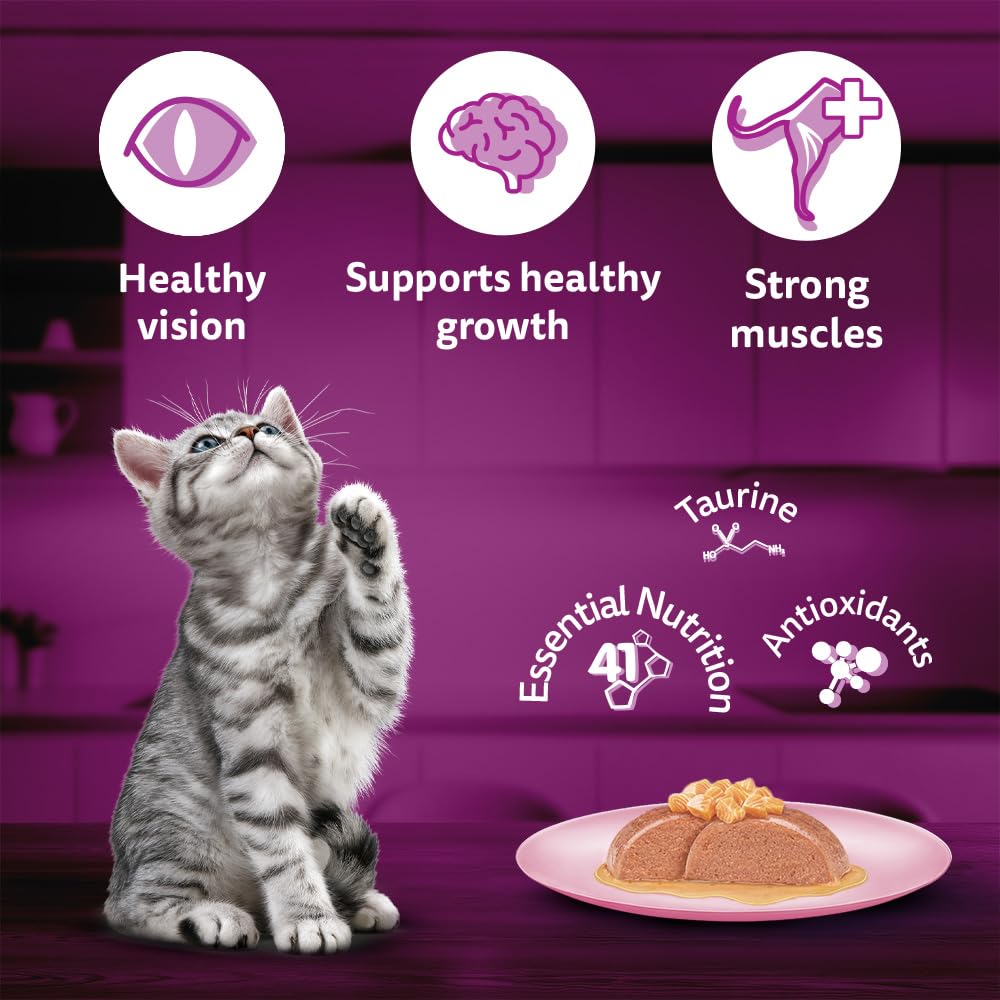 Whiskas Salmon in Jelly Flavour Junior Kitten (2-12 Months) Wet Cat Food