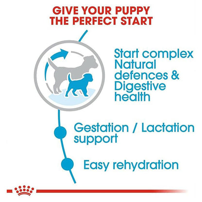 Royal Canin Starter Mini Dry Dog Food