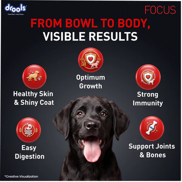 Drools Focus Super Premium Puppy Dog Dry Food