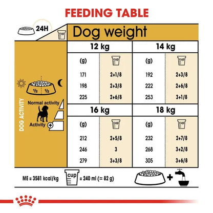 Royal Canin Beagle Medium Adult Dry Dog Food