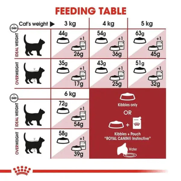 Royal Canin Fit 32 Adult Dry Cat Food