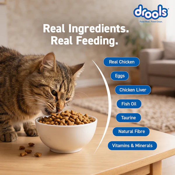 Drools Real Chicken Adult Cat Dry Food