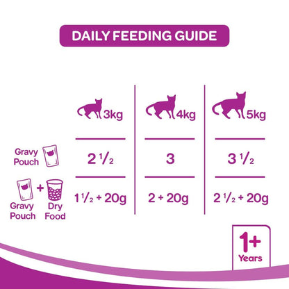 Whiskas Ocean Fish Adult (+1 Year) Wet Cat Food