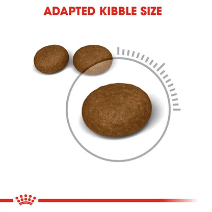 Royal Canin Skin & Hair Care for Adult Dry Cat Food