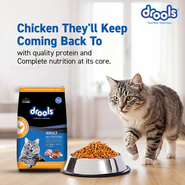 Drools Real Chicken Adult Cat Dry Food