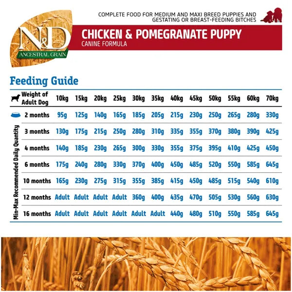 Farmina N&D Ancestral Grain Chicken & Pomegranate  Puppy Medium Maxi Dry Dog Food