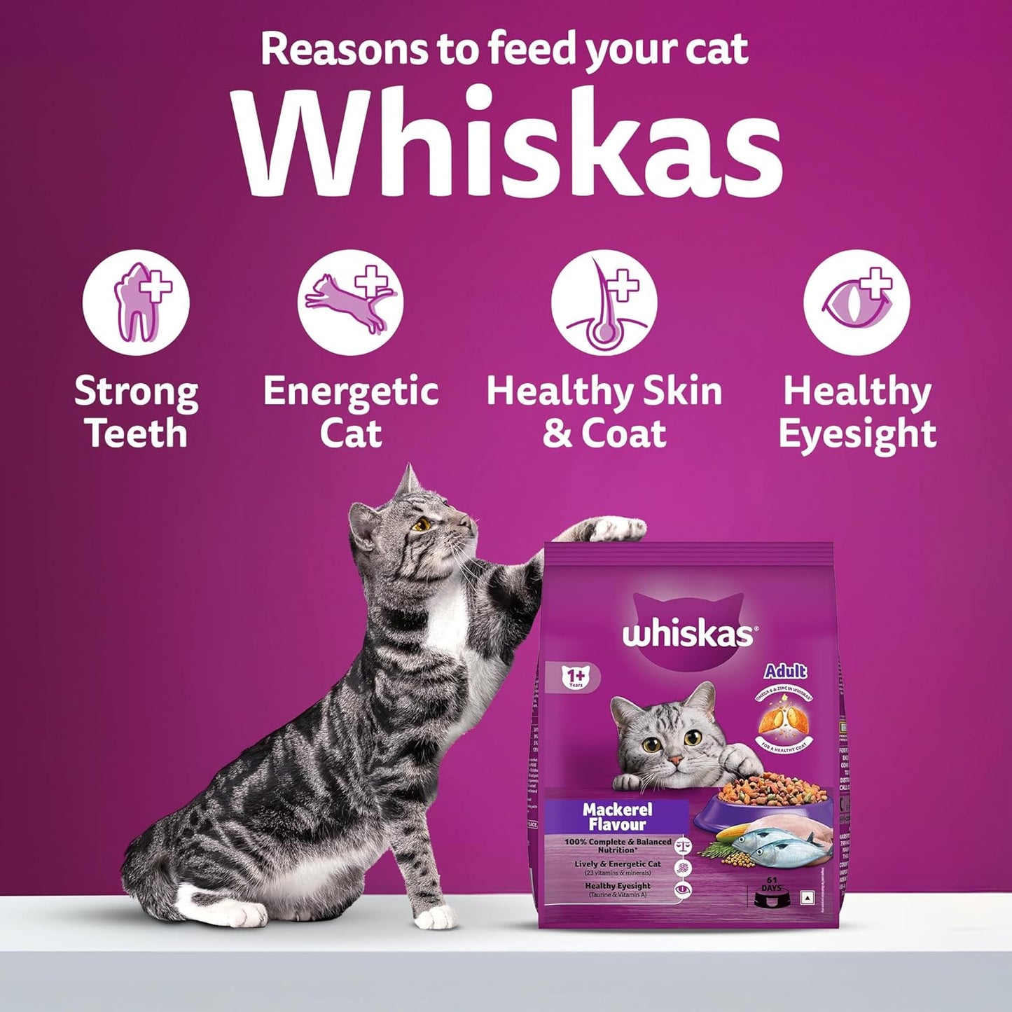 Whiskas Mackerel Flavour Adult (1+ Years) Dry Cat Food