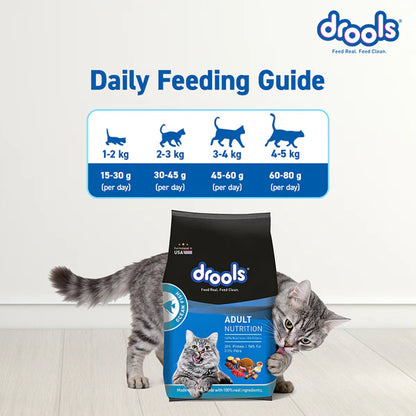 Drools Ocean Fish Adult Cat Dry Food
