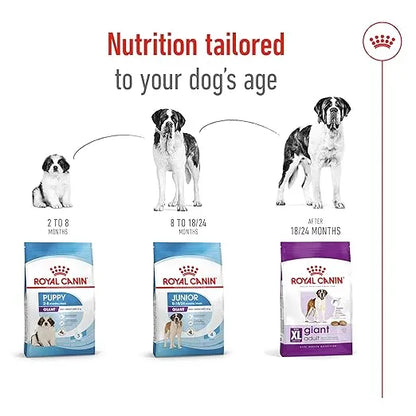 Royal Canin Giant Adult Dry Dog Food