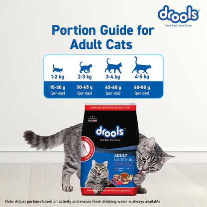 Drools Tuna & Salmon Adult Dry Cat Food