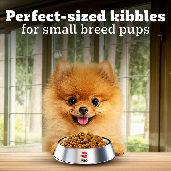 Pedigree PRO Expert Nutrition Small Breed Puppy Dry Food