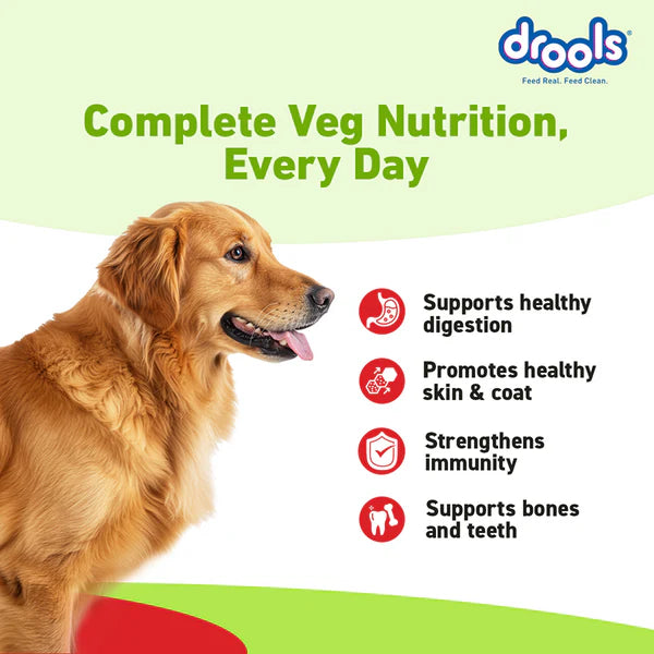 Drools 100% Vegetarian Puppy and Adult Dog Veg Dry Food