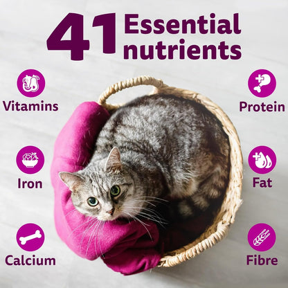 Whiskas Mackerel Flavour Adult (1+ Years) Dry Cat Food