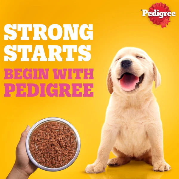 Pedigree Puppy Lamb Flavour Chunks in Gravy