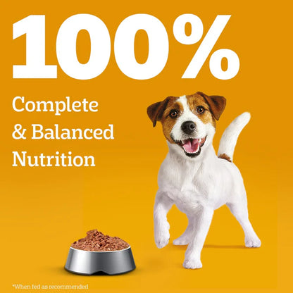 Pedigree Puppy Lamb Flavour Chunks in Gravy