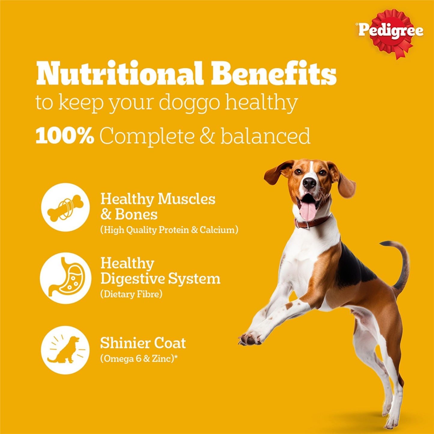Pedigree Adult Dry Dog Food Chicken Egg & Rice